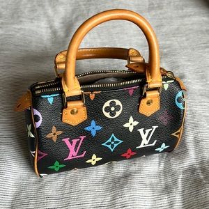 Luis Vuitton Mini Speedy bag multicolor